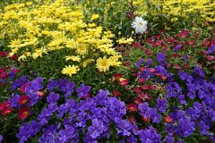 42 Flower Garden At Chateau Lake Louise Lakeside.jpg